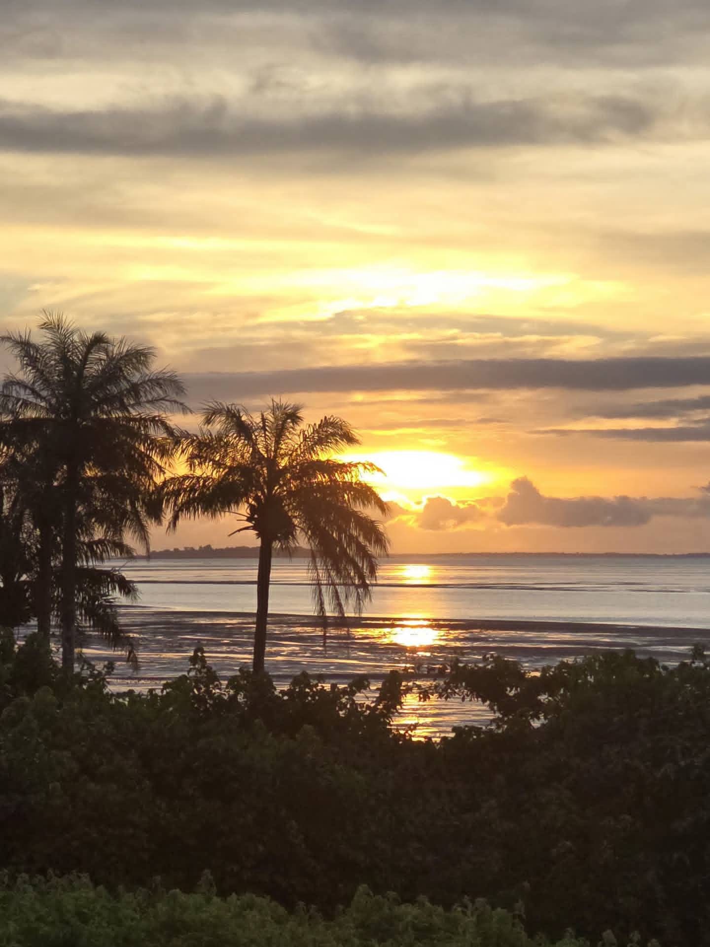 Sunset with palm trees over the sea