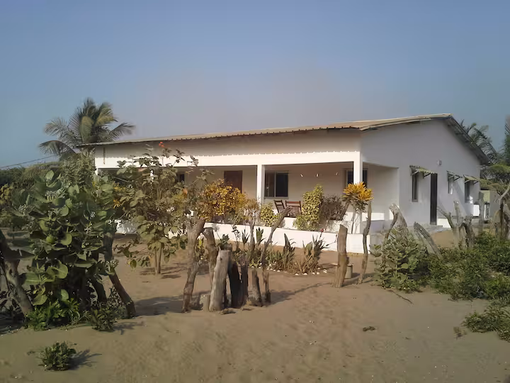 Our white villa in Kafountine surrounded by palms
